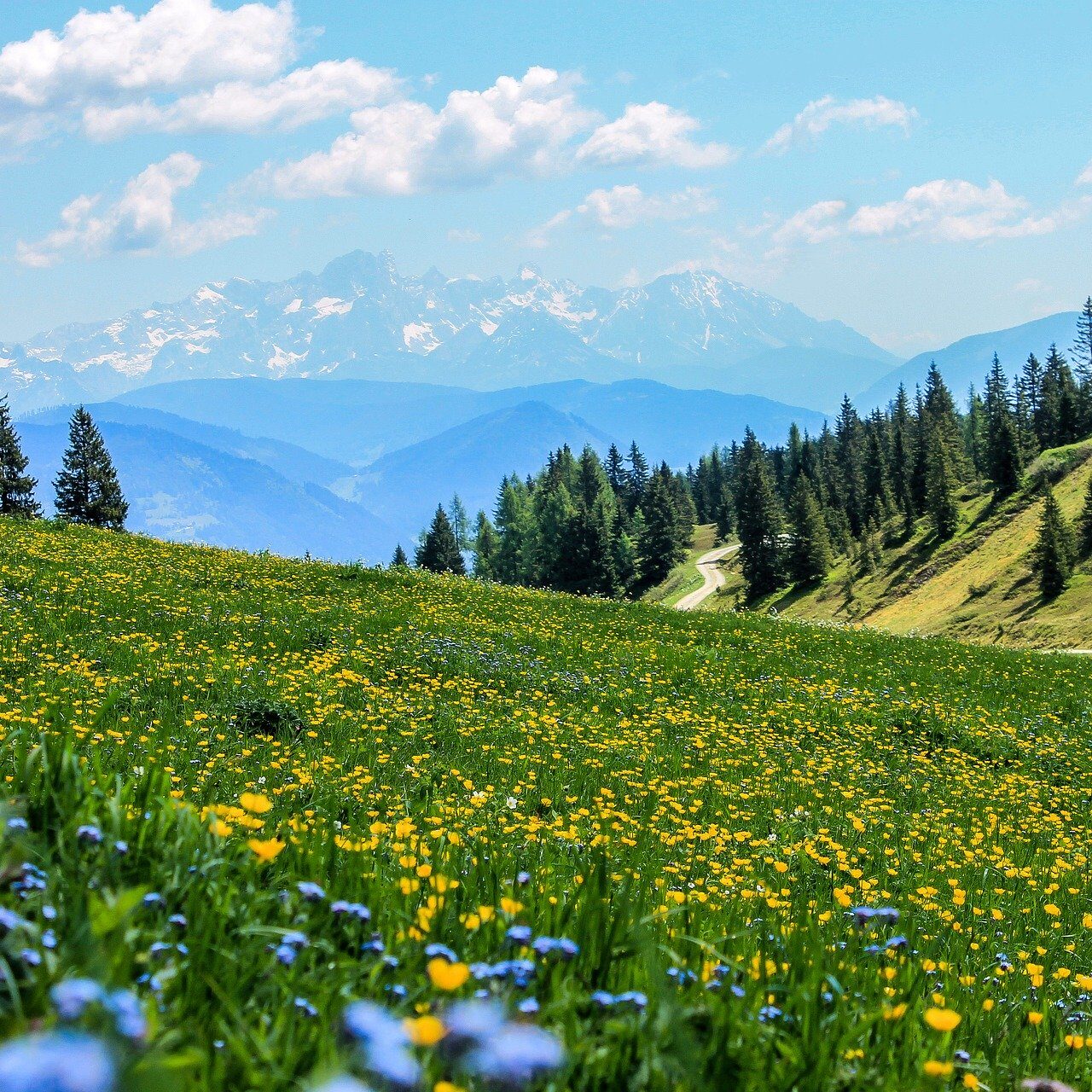 yellow-3123271_1920